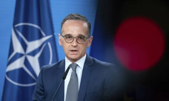 German Minister Rejects Idea of Arms Deliveries to Ukraine