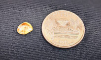 Treasure Hunter Unearths 2.2 Carat Yellow Diamond at State Park for Future Bride’s Engagement Ring