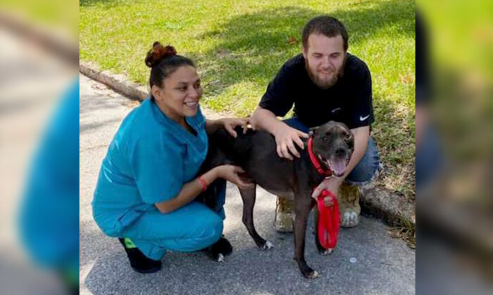 (Courtesy of Humane Society of Tampa Bay)