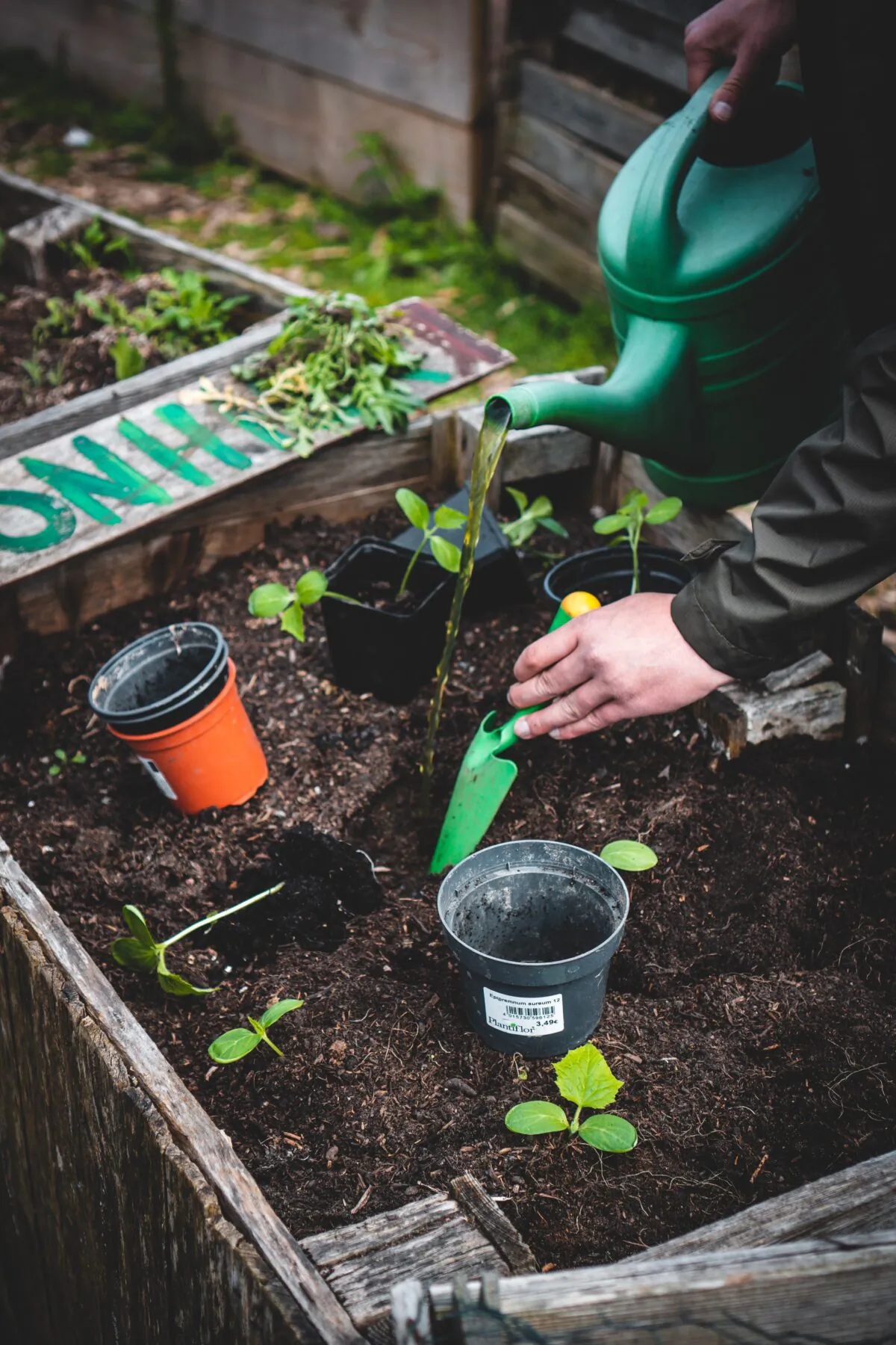 Outdoor Gardening Territory (Johnathan Kemper/Unsplash)