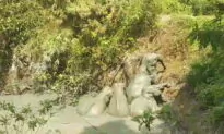 Elephants Escape Burma Mud Pit to Cheers From Villagers Who Helped