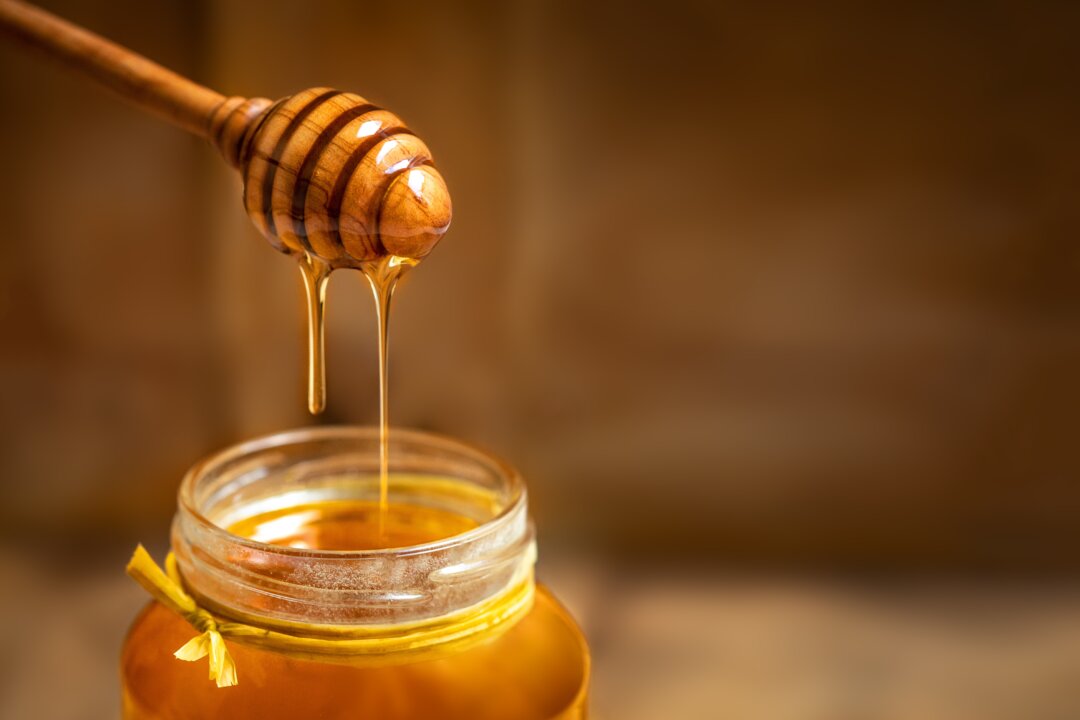 Manuka Honey Helps Combat Antibiotic Resistant Lung Infection