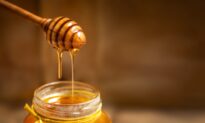 Manuka Honey Helps Combat Antibiotic Resistant Lung Infection