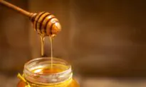 Manuka Honey Helps Combat Antibiotic Resistant Lung Infection