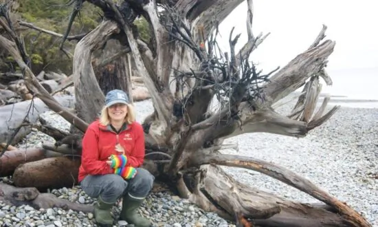 ‘Highly Intelligent’: A Forestry Scientist’s Journey of Discovering How Trees Communicate