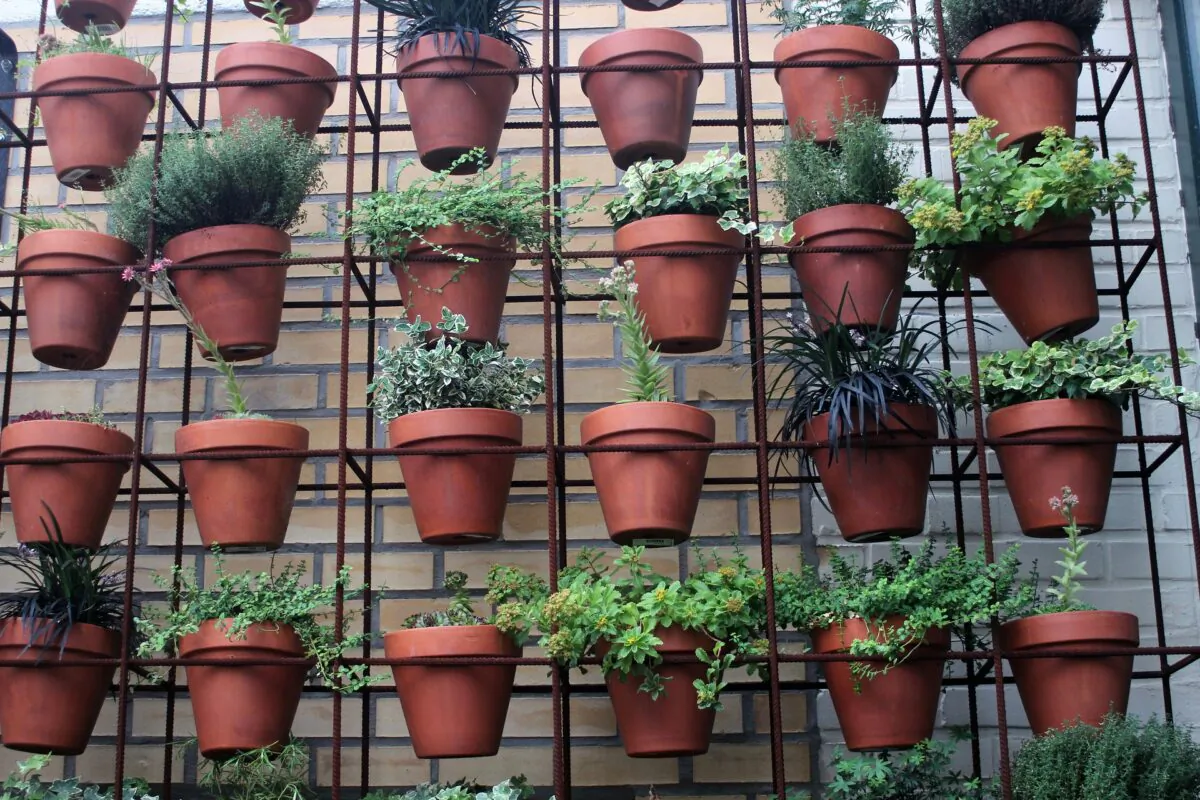Get creative with your vertical space. (Maike und Björn Bröskamp/Pixabay)