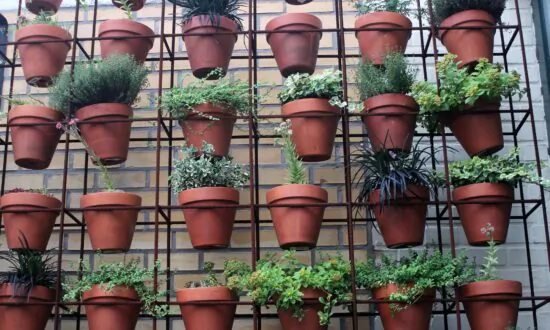 How to Create the Ultimate Small Space Garden
