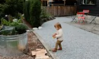 Creating a Low Maintenance Garden