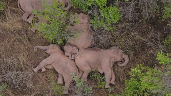 Epoch Times Photo