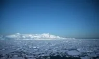 Southern Ocean Recognized as Fifth Ocean by National Geographic