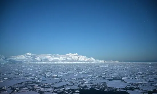 Scientists Floored as Seals Hit New Antarctic Depths
