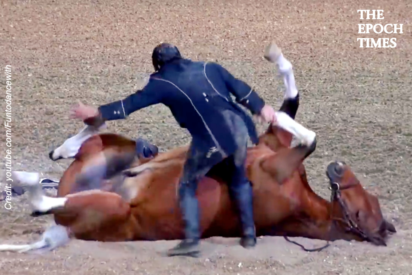 Funniest Horse Act Ever - Vimarsana News