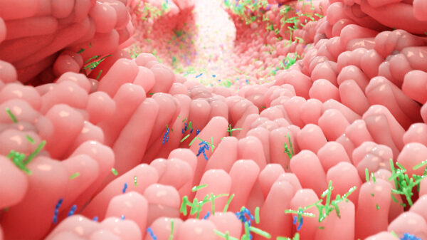 a 3d representation of gut bacteria