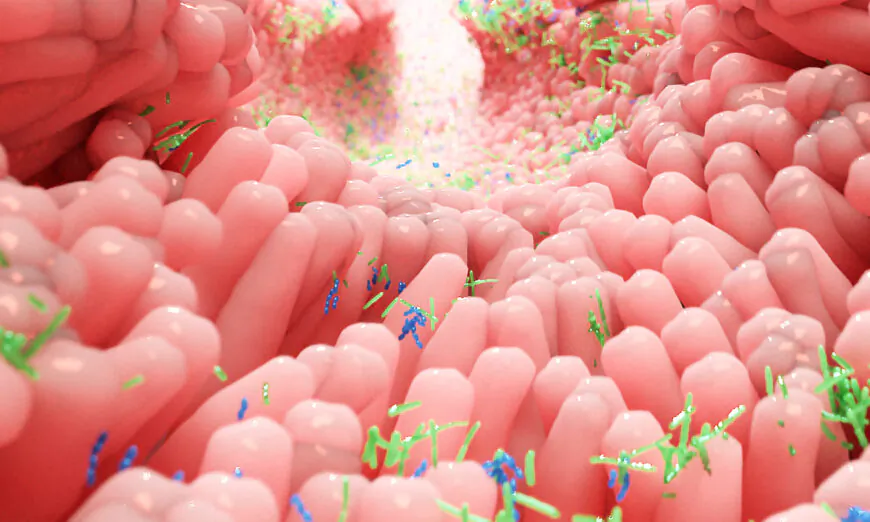 An Intro To Small Intestinal Bacterial Overgrowth   A 3d Representation Of Gut Bacteria 870x522 .webp