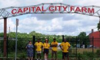 An Urban Farm Takes Root in a New Jersey Community