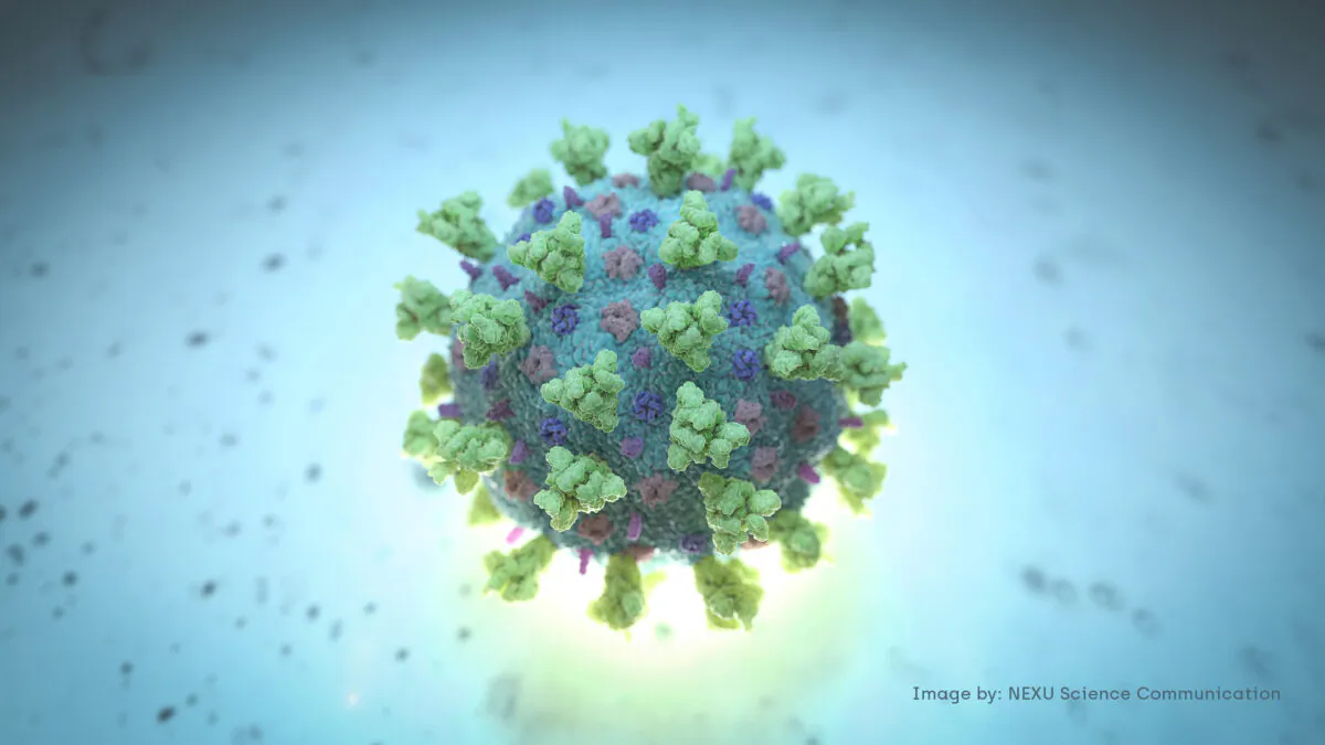 A computer image created by Nexu Science Communication together with Trinity College in Dublin, shows a model structurally representative of a betacoronavirus which is the type of virus linked to COVID-19, better known as the coronavirus linked to the Wuhan outbreak, shared with Reuters on Feb. 18, 2020. (NEXU Science Communication/via Reuters)