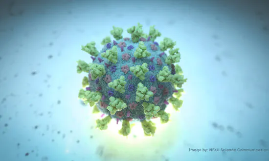International Scientists Call for New Inquiry Into COVID-19 Origins