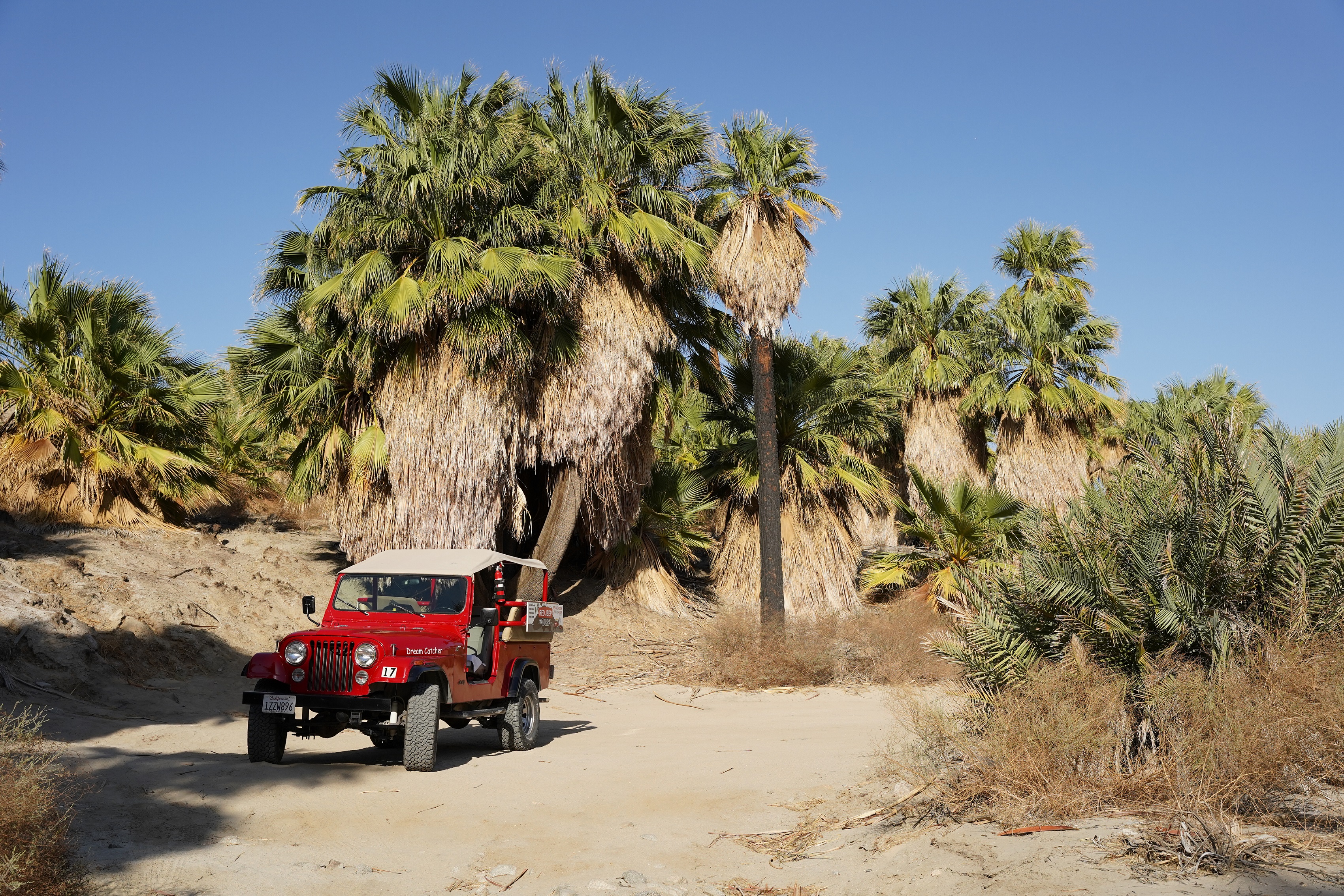 Metate Ranch