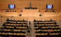 Beijing Working to Subvert UN Human Rights System, Rights Activist Warns