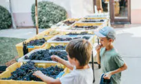 Kids Join the Fun at Family-Friendly Wineries