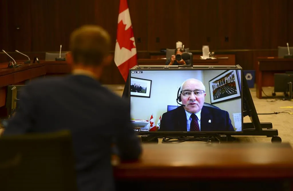 Committee Chair and Liberal MP Wayne Easter speaks via videoconference during a House of Commons finance committee in the Wellington Building on July 30, 2020. (The Canadian Press/Sean Kilpatrick)