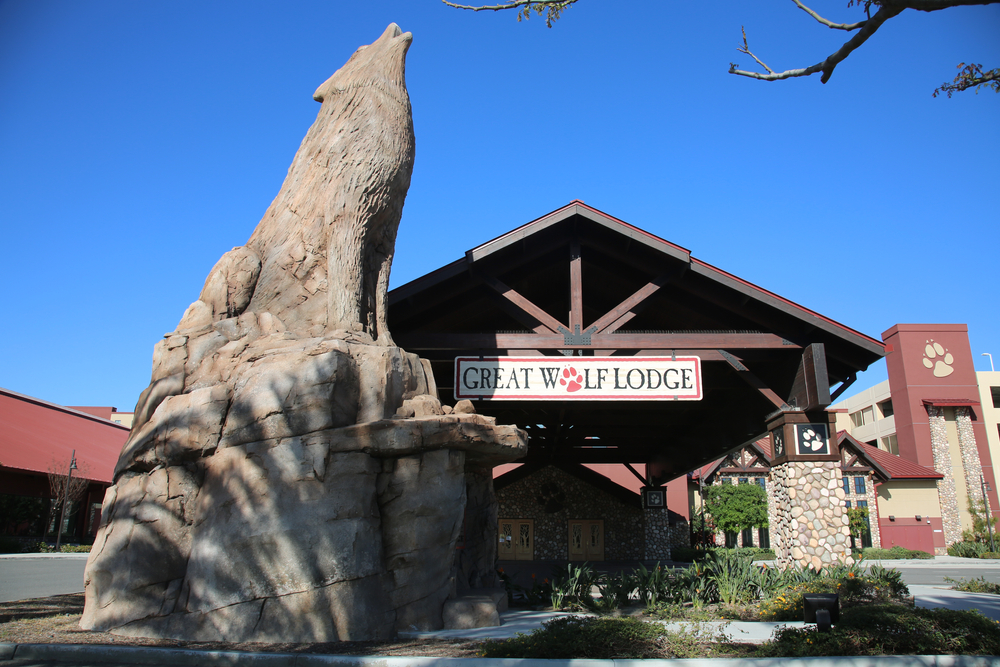 Fun in the Water and on Land at Great Wolf Lodge – City Milano News