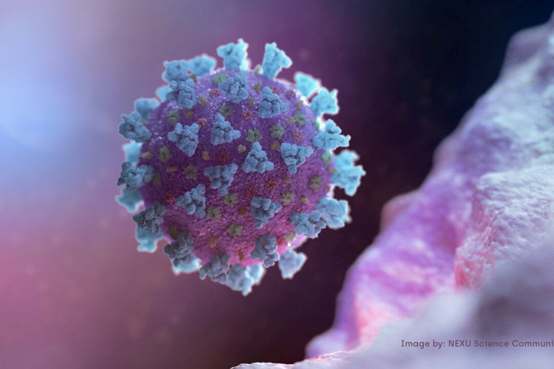 AstraZeneca Antibody Cocktail Fails to Prevent COVID-19 in Large Trial