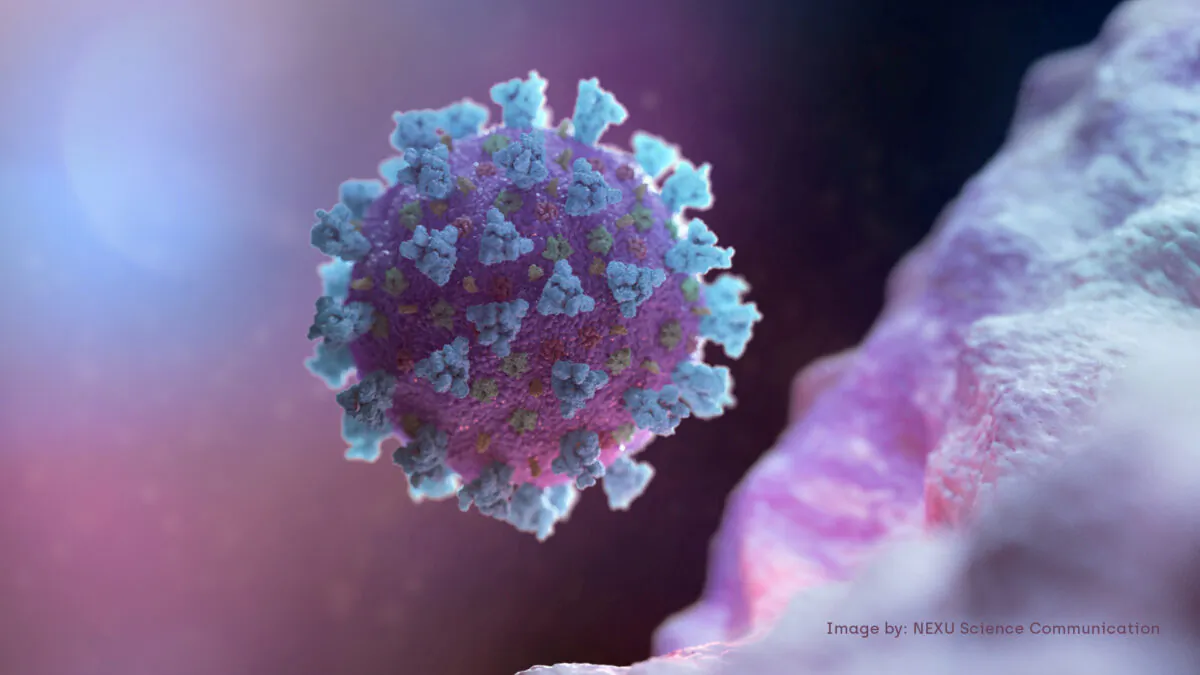 A computer image showing a model structurally representative of a betacoronavirus which is the type of virus linked to COVID-19, shared with Reuters on Feb. 18, 2020. (NEXU Science Communication via Reuters)