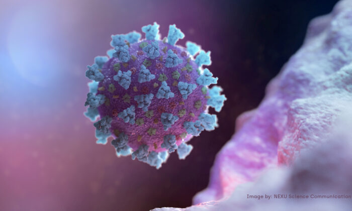 A computer image showing a model structurally representative of a betacoronavirus which is the type of virus linked to COVID-19, shared with Reuters on Feb. 18, 2020. (NEXU Science Communication via Reuters)