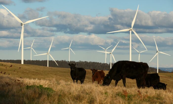 Renewables Now Make Up a Third of Australia’s Energy