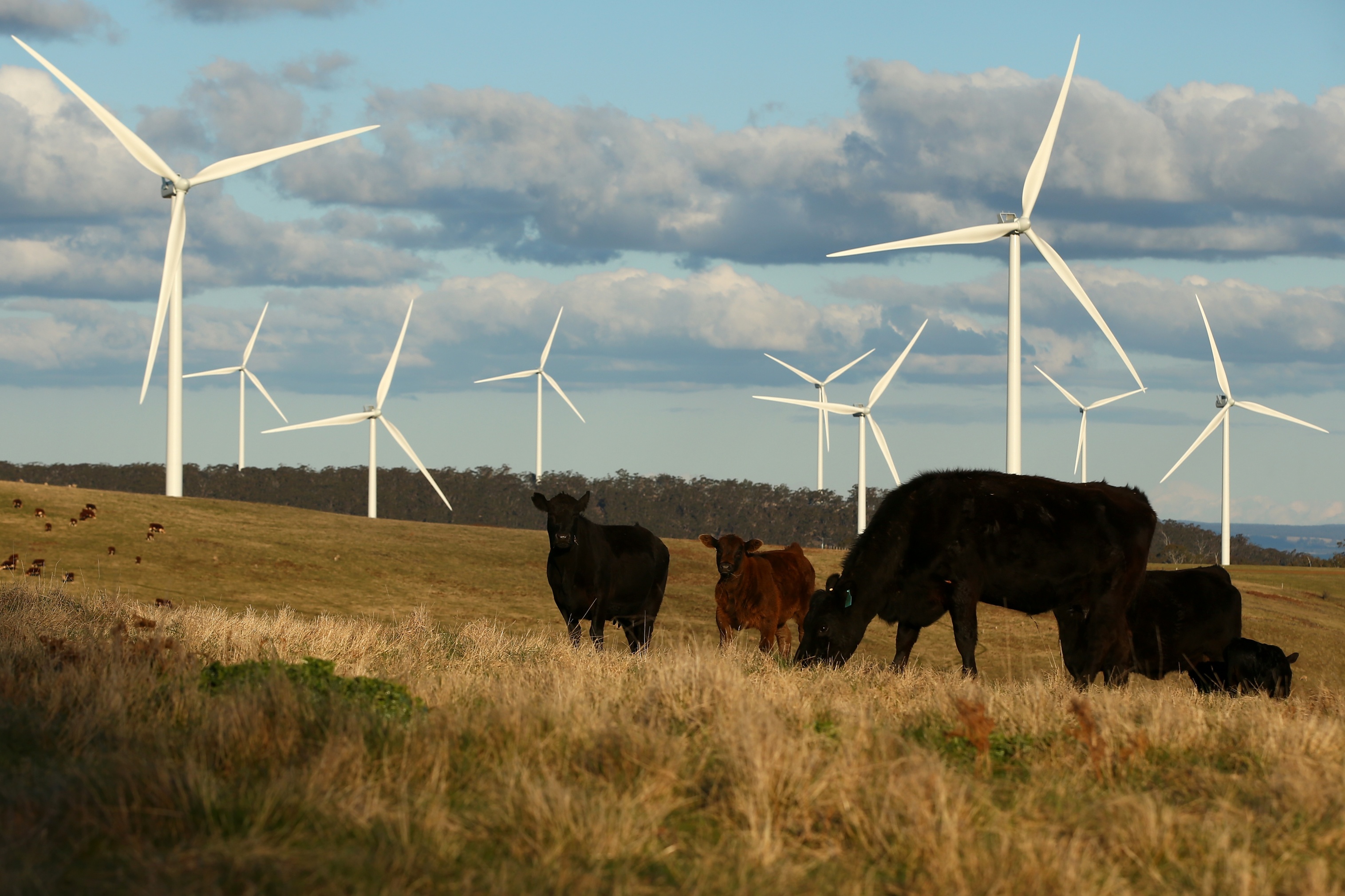 Renewables Now Make Up a Third of Australia's Energy - Vimarsana News