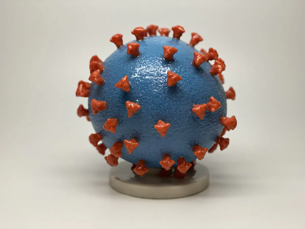 Microscopic images show the coronavirus responsible for the COVID-19 outbreak.