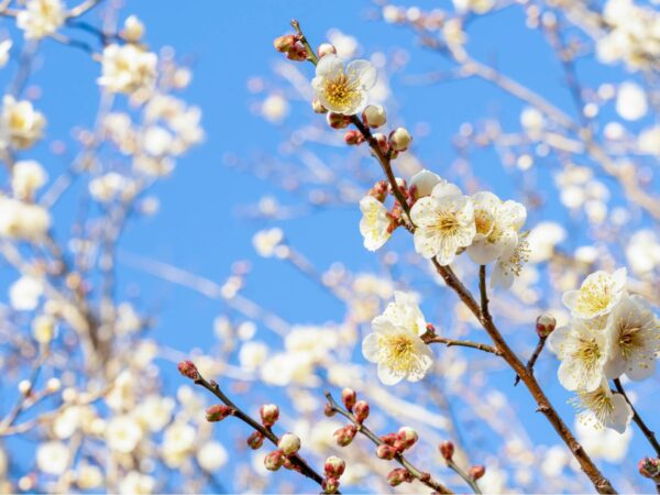 Epoch Times Photo