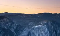 Brothers Set Record Crossing Large Gap in Park on a Highline