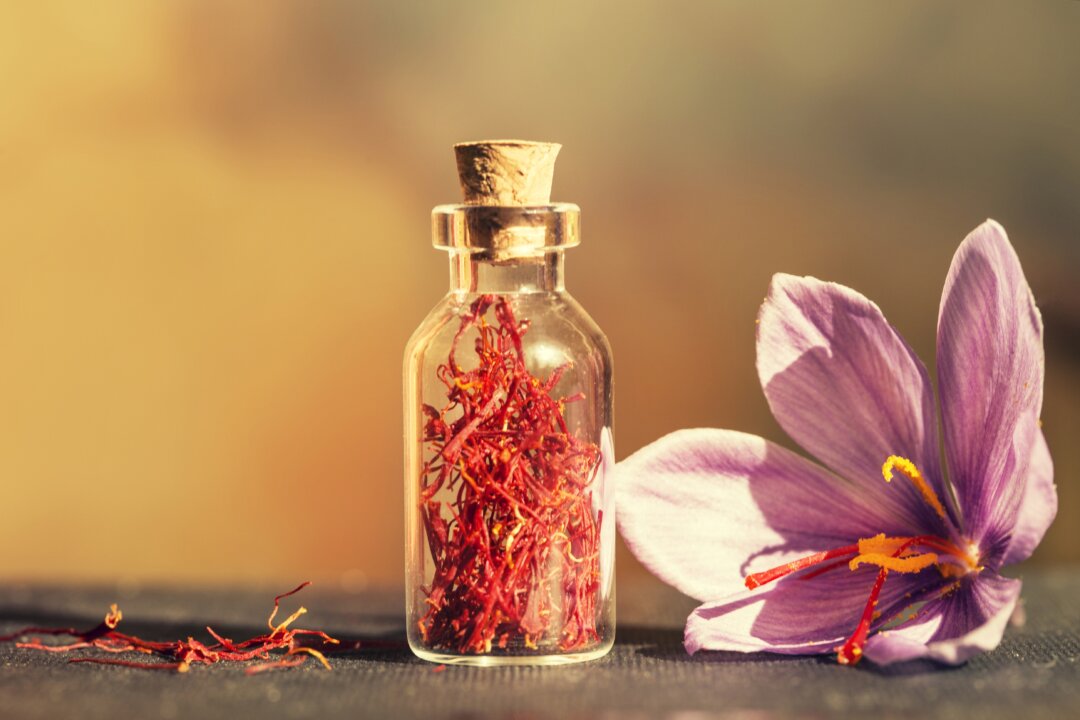Saffron has
historically been
used in Persian
traditional medicine
for the treatment of
memory problems. (Patricia Chumillas/Shutterstock)