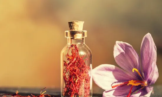 Costly Spice Surprisingly Effective for Alzheimer’s