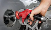 Premier Pledges State-Owned Service Stations and Caps to Petrol Price Rises in Re-Election Bid