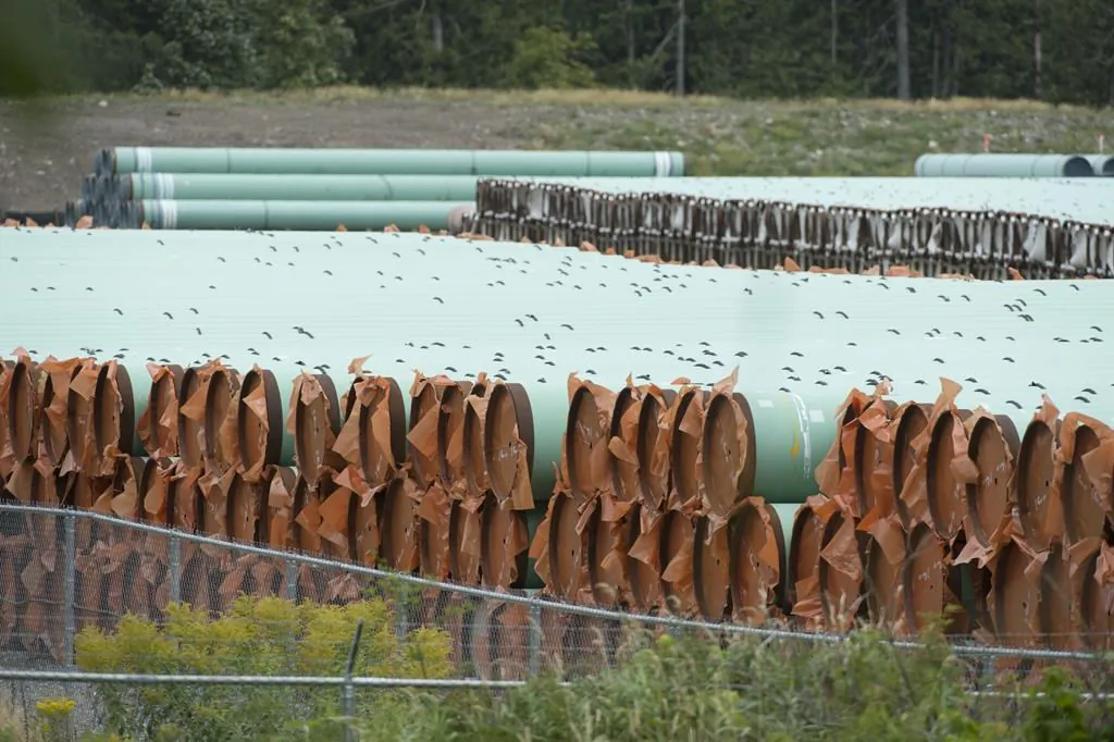 Pipes for the Trans Mountain pipeline project are seen at a storage facility near Hope, B.C., on Sept. 1, 2020. A federal regulator says it has lifted a stop work order on tree cutting and grass mowing work along the Trans Mountain pipeline expansion project route. (The Canadian Press/Jonathan Hayward)