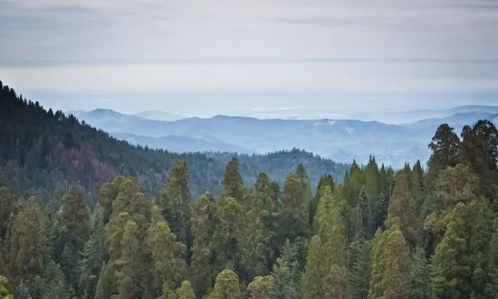 Into The Wild: California’s National Parks Brace for Record Year