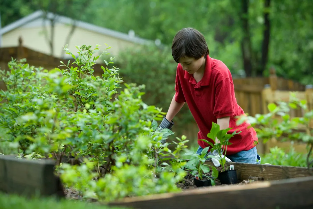 A garden can offer lessons
in generosity and hard work, as well as a refuge for contemplation. (CDC/Unsplash)