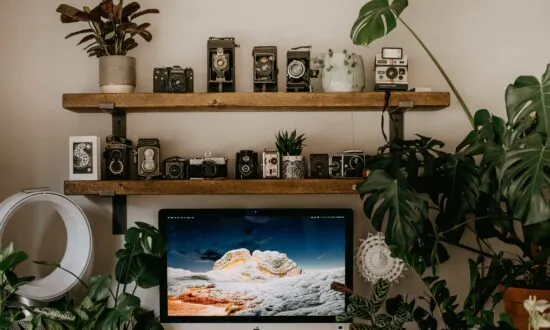 Benefits of Houseplants