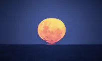 ‘Strawberry Moon’ on June 24 Will Be the Last Supermoon of 2021—Here’s What You Need to Know: