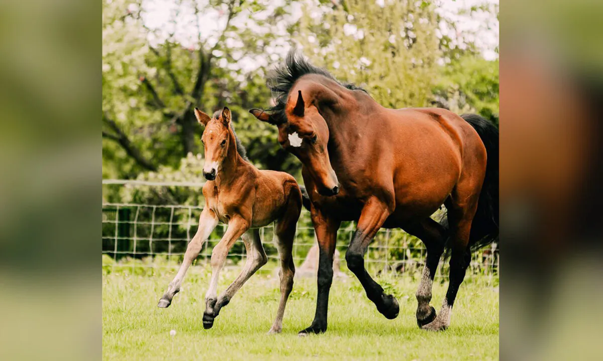 (Courtesy of Daily in Focus via equitality)
