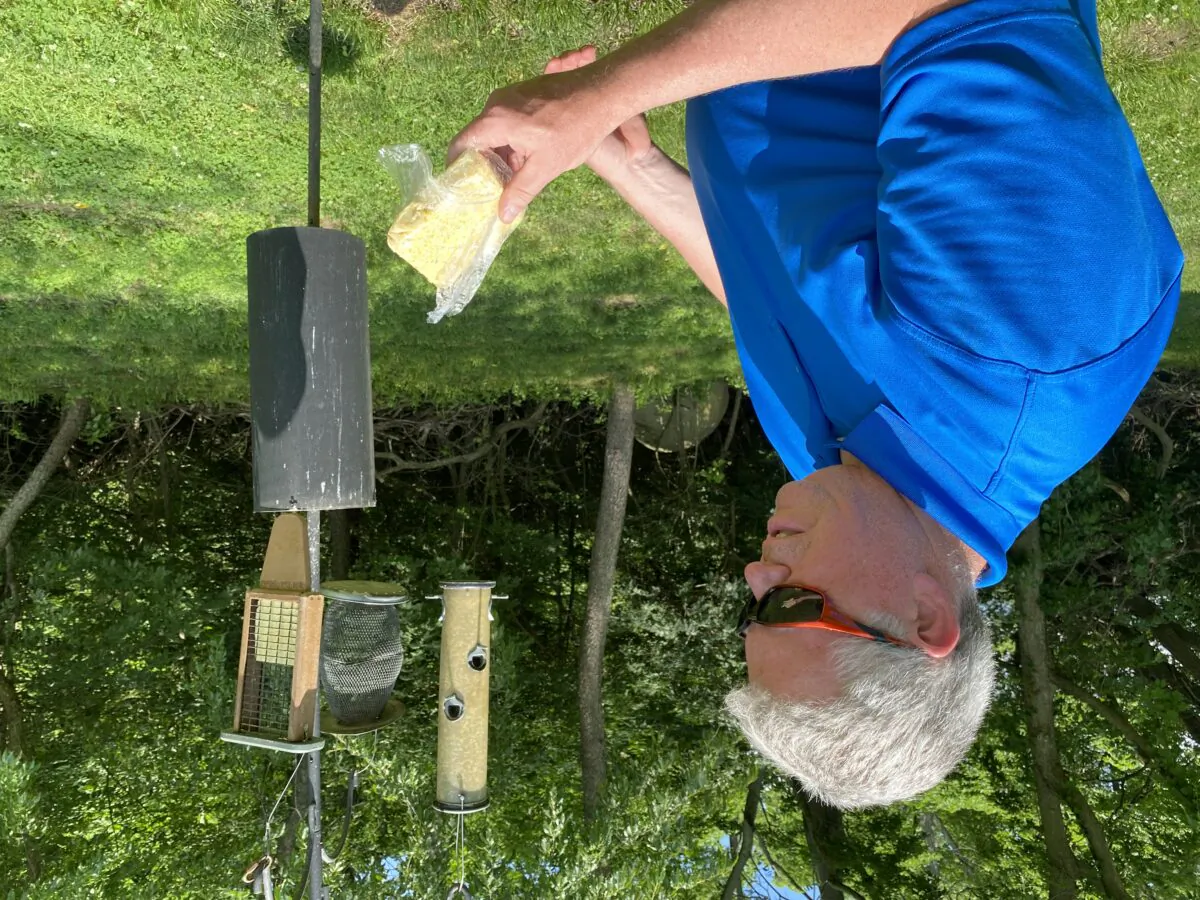 Anthony Rothering, professor of biology at Lincoln Land Community College in Springfield, Illinois, shows suet (mixture of beef fat, seeds and apple chunks) that he places in a bird feeder on campus. He suggests that people using suet in bird feeders in the summertime use more heat-resistant types of suet because of the potential for melting. (Tamara Browning)