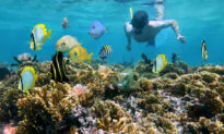 Australia’s Beaches With Most Plastic Revealed