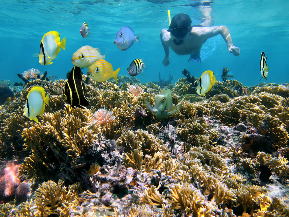 An interactive map has been created to pinpoint low-pollution Australian beaches. (Damsea/Shutterstock)