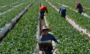 Actually, California’s Farm Union Bill Is Anti-Democracy