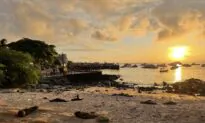Trip of a Lifetime: How to Visit the Galápagos
