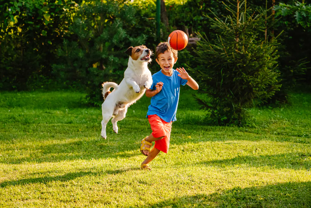 Applying poisons to your yard when none are needed doesn't make much sense. (alexei_tm/Shutterstock)