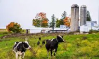 Proposal Would Shield Farmland From Key Wind, Solar Subsidy